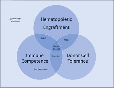 Editorial: Immunological Challenges Following Pediatric Hematopoietic Transplantation